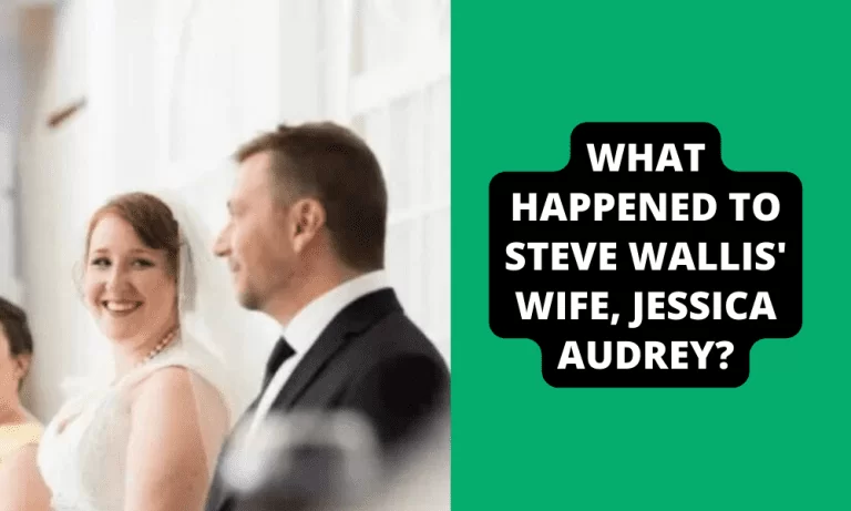 What happened to Steve Wallis’ wife, Jessica Audrey Wallis?